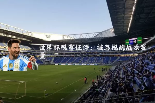 世界杯观赛证件:被忽视的战术变量